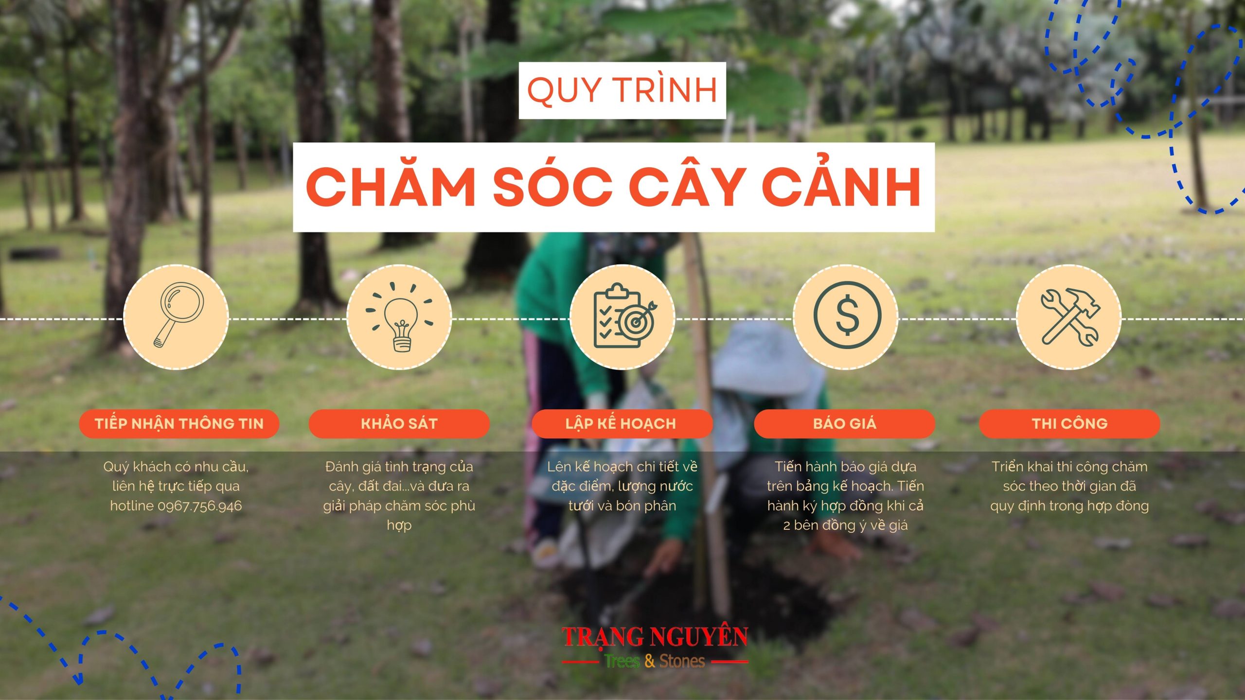 6-quy-trinh-cham-soc-cay-canh-tai-Trang-Nguyen