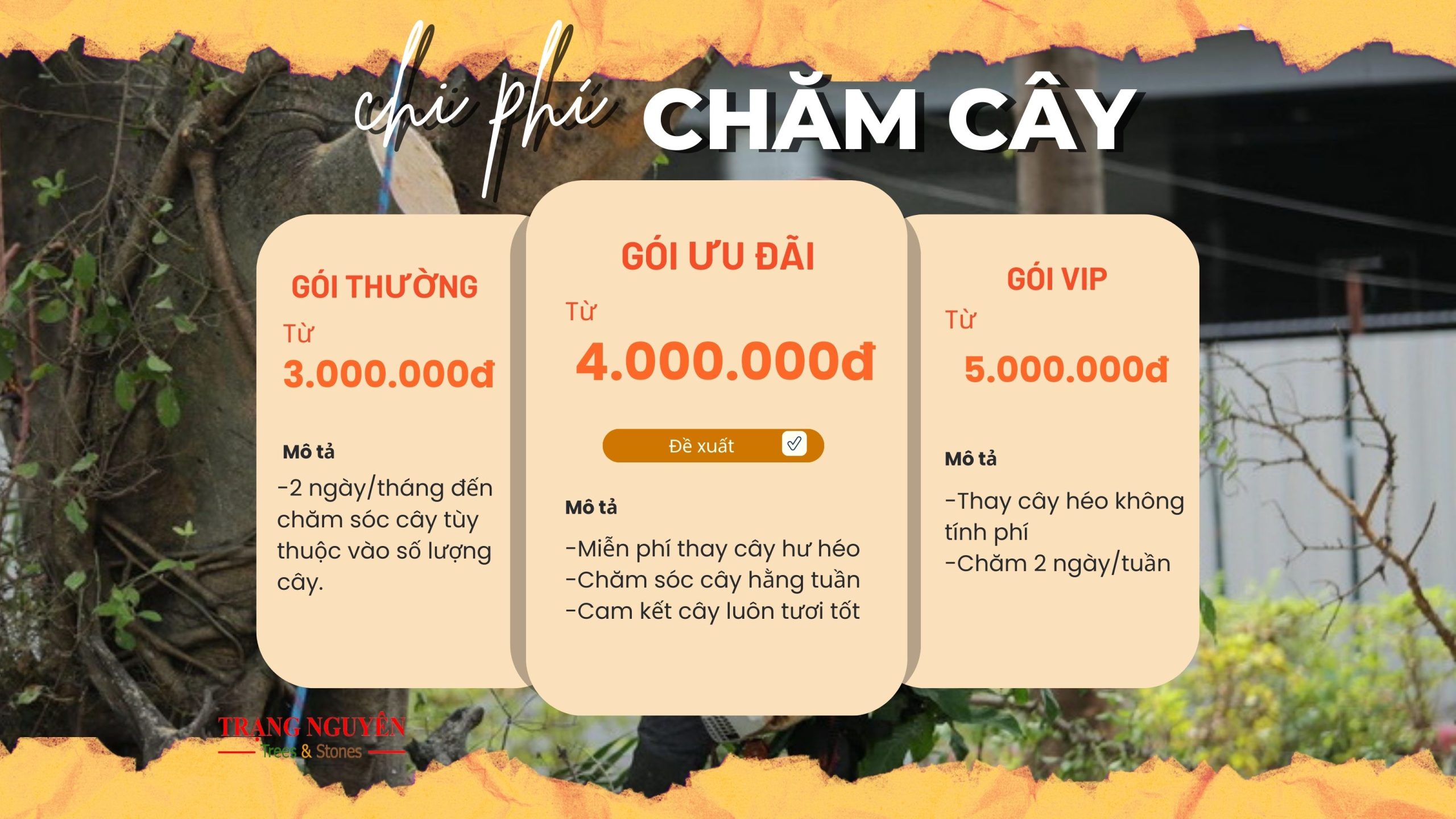 goi-cham-soc-cay-canh-san-vuon